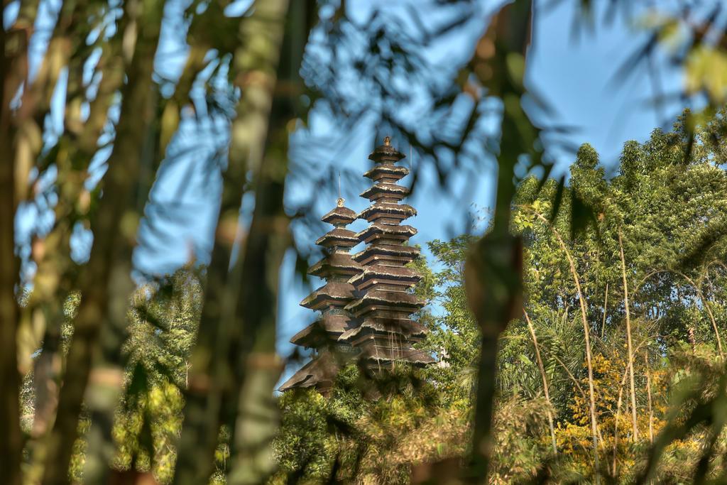 Sang Giri Mountain Tent Resort จาตีลูวีห์ ภายนอก รูปภาพ