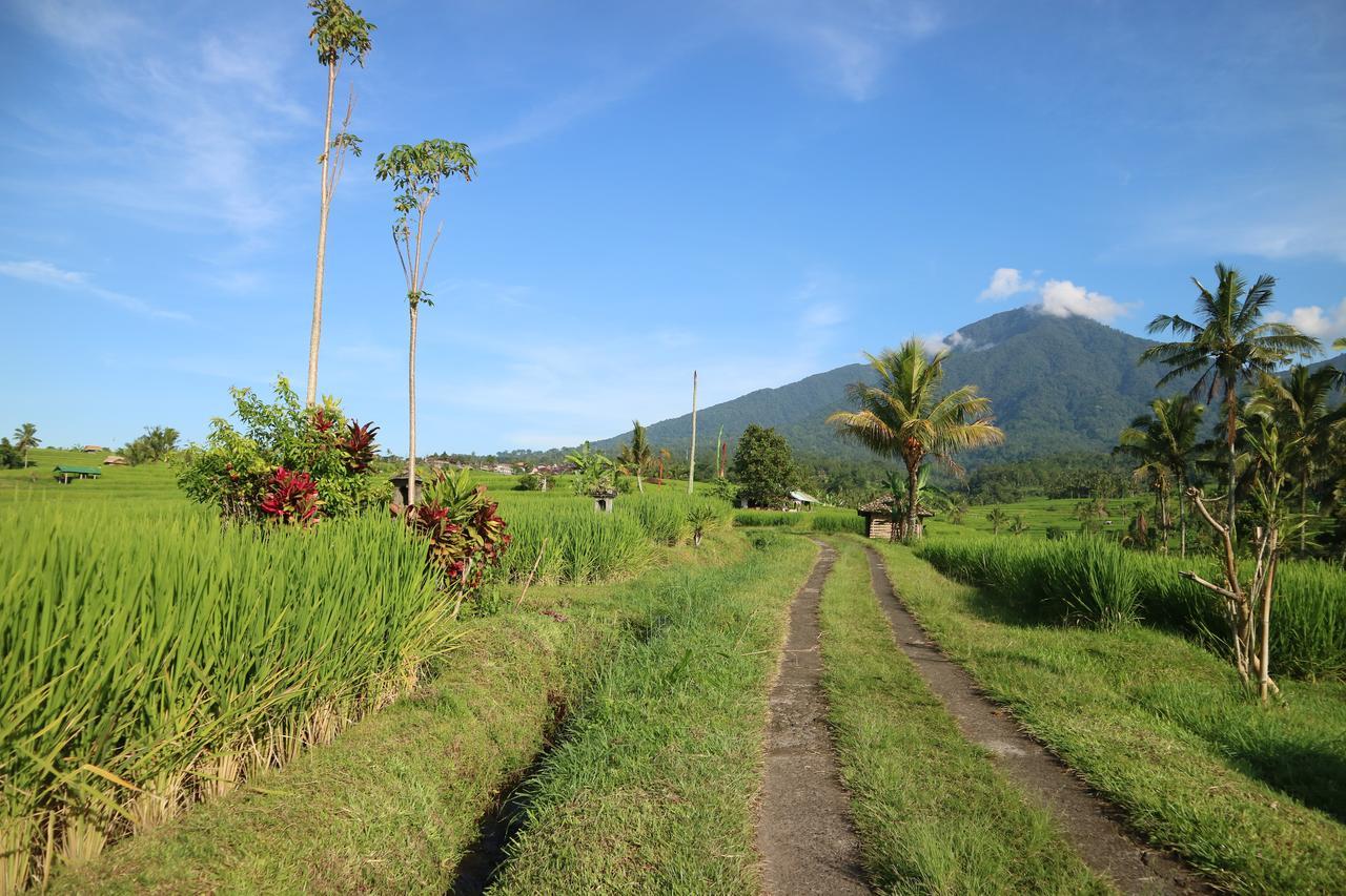 Sang Giri Mountain Tent Resort จาตีลูวีห์ ภายนอก รูปภาพ