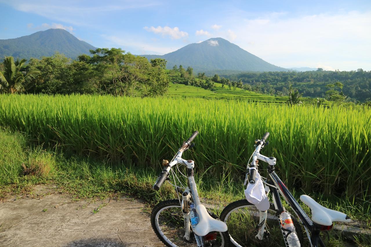 Sang Giri Mountain Tent Resort จาตีลูวีห์ ภายนอก รูปภาพ